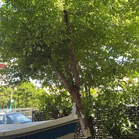 Fotini Апарт-отель 2*