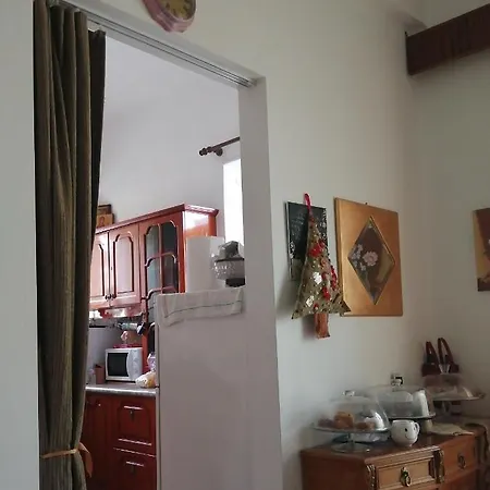 Fotini 卡梅纳维洛拉